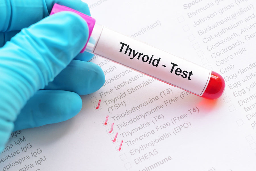 Thyroid Health Testing